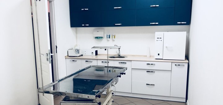 Хірургічний стіл у ветеринарному центрі «AnimalClinic» у Києві. Дізнайтеся про прийом по акції.