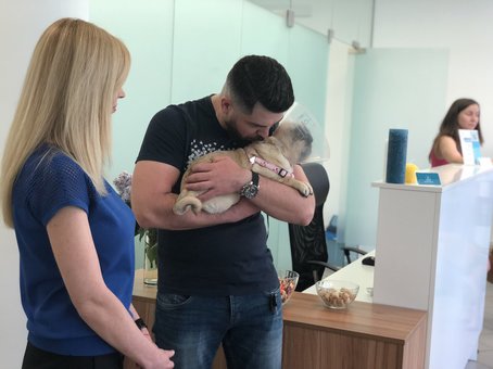 Ветеринарна допомога тваринам у клініці «Animal-Clinic» у Києві. Наводьте вихованця зі знижкою.