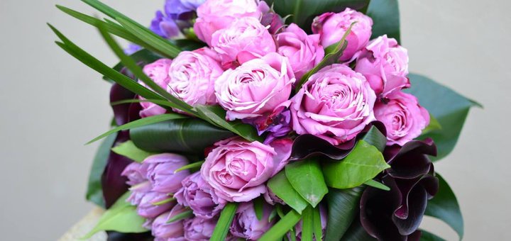 Kievflower