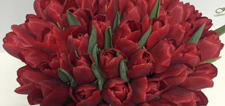 Курьерская доставка цветов от «SendFlowers» по скидке