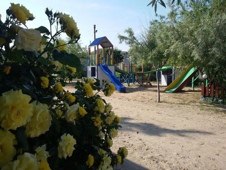 База відпочинку «Водограй» в Кирилівці 3