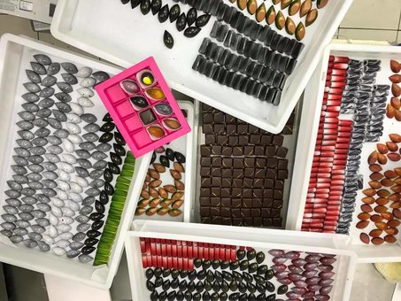Chocolate sweets in the Honey confectionery in Kyiv with a discount