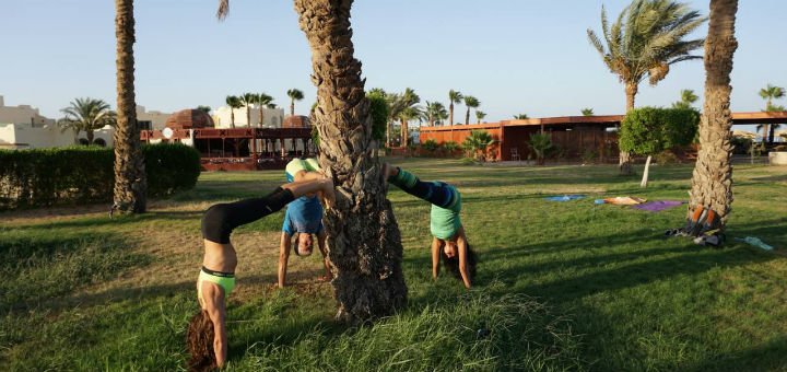 &quot;yogatour&quot; - yoga tours with vacation at sea for a promotion.