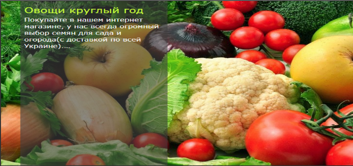 Овощи круглый год