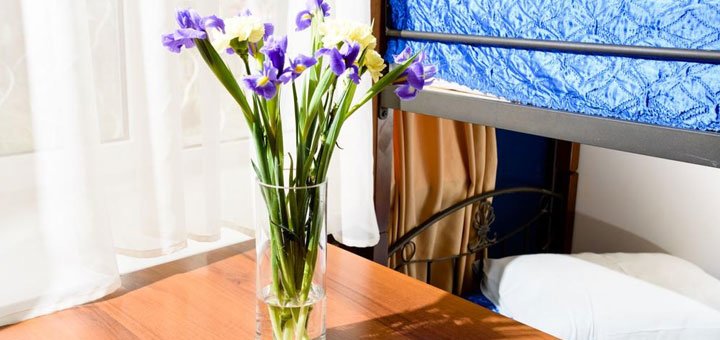 «Gar’is Hostel Kyiv» в Киеве. Забронировать номер со скидкой. Недорогой хостел в центре Киева.