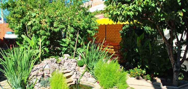Garden on the territory of the vlada boarding house in the iron port. book rooms for the promotion.