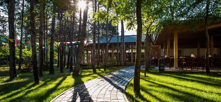 Promotions and discounts for renting a coworking zone in the park-hotel &quot;berezka&quot; in koblevo