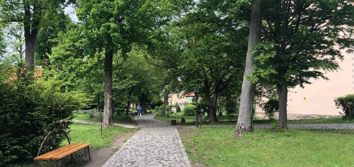 «ужгородський замок»