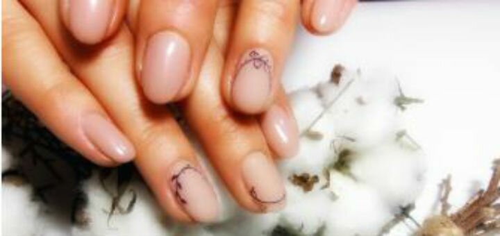 Nail master alenushka brovary