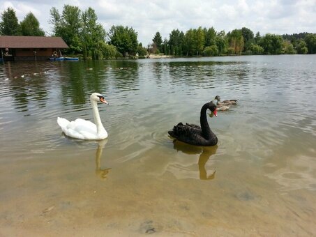 Пляж «два бобра»
