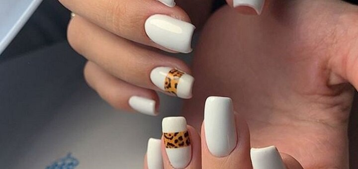Special offers at salon sofia beauty in kharkiv