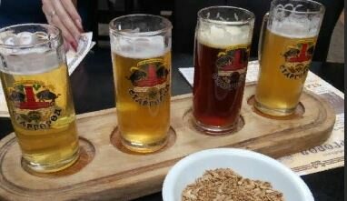 Stargorod cheska brewery