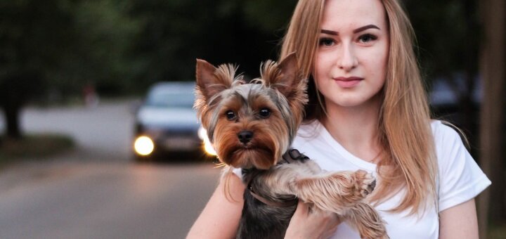 Discounts on photo sessions from photographer maria savchenko in zaporozhye