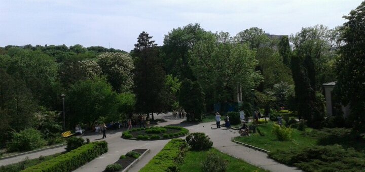 &quot;botanical garden named after a. v. fomin&quot; kiev