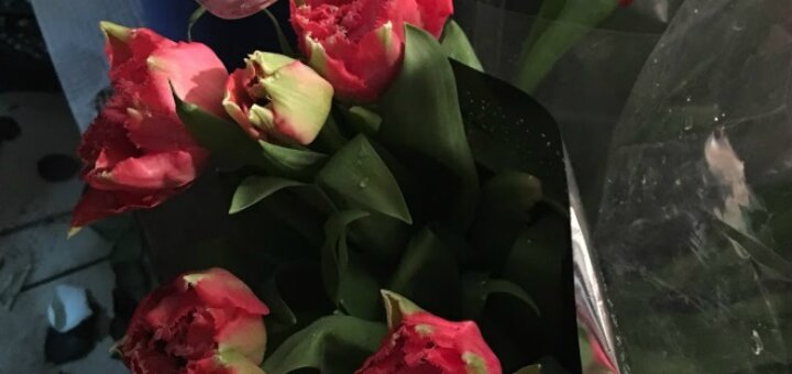 «Центральный рынок» Берегово
