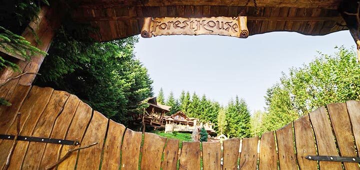 Скидки на отдых в отеле Forest House Exclusive10