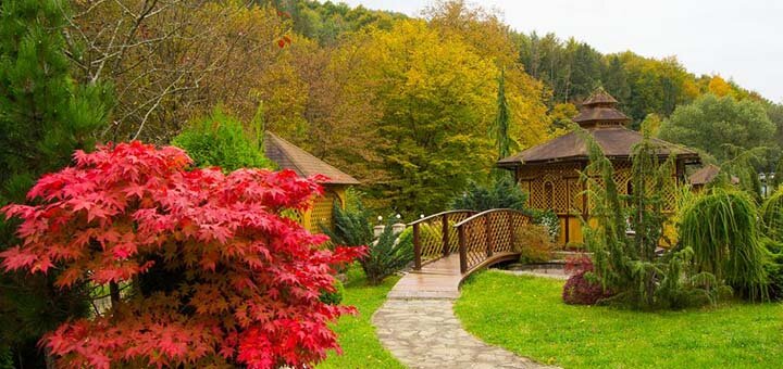 Discounts for rest in the hotel Natalie in Transcarpathia7