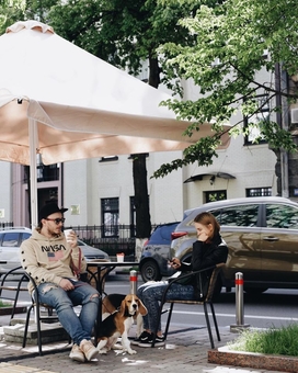 Акции и скидки в «The Blue Cup Coffee Shop»4