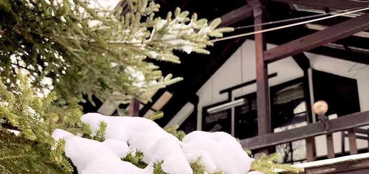 Svyatoslav Motel. Book your room with our special offer.