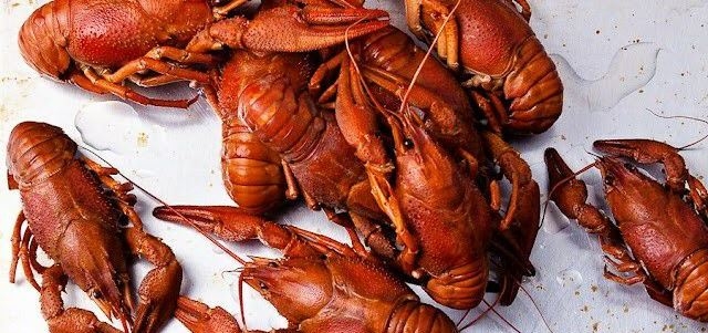 Delivery of crayfish in kiev