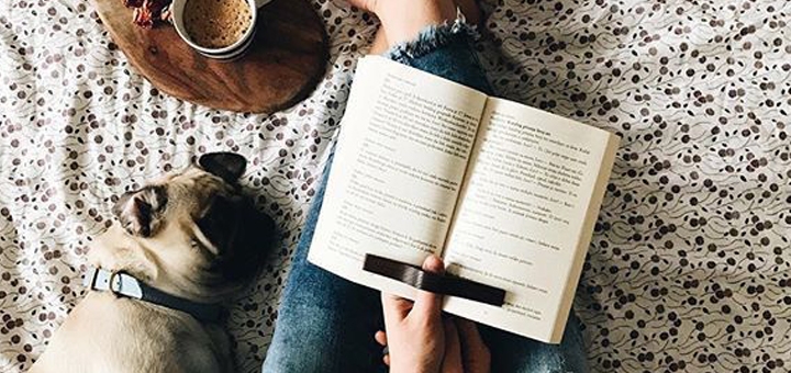 Книги від інтернет-магазину «Bookish». Замовити онлайн.