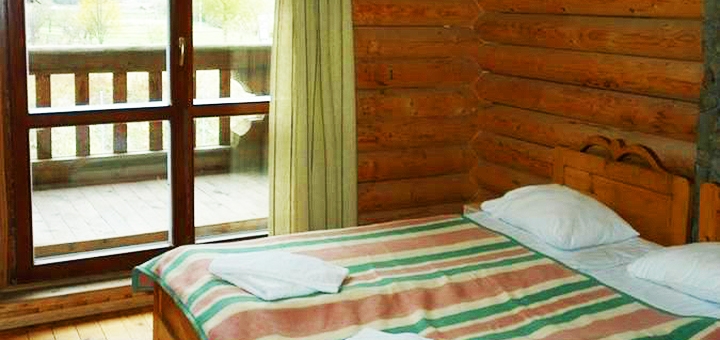 Manor &quot;lion&quot; in the carpathians. book on promotion 3