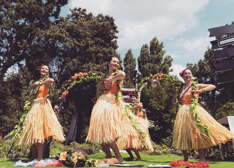 заняття гавайськими танцями в «Moana Hula Studio» по акції 3