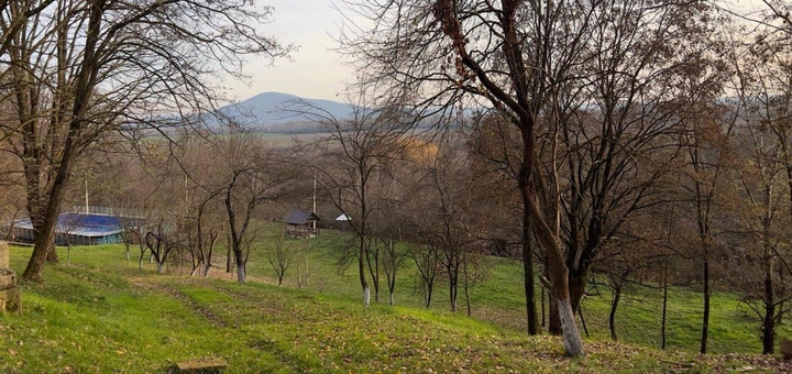 Отель Лесная дача в Закарпатье. Бронируйте по акции 1