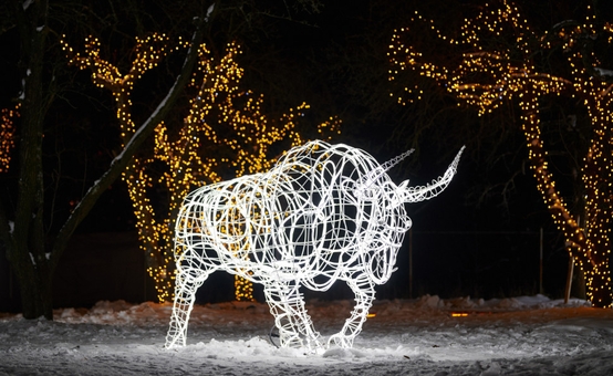 Арт-пространство Illuminarium «Магия Света» на ВДНГ