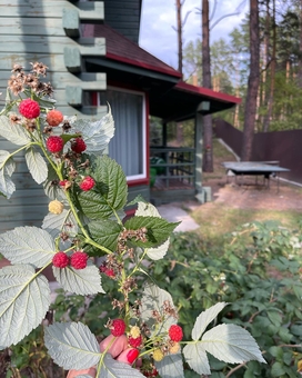 Еко-комплекс Greenhouse під Києвом. Бронюйте за акцією 81