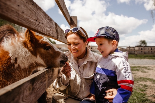 Yasnogorodka Family Ecopark near Kyiv 3