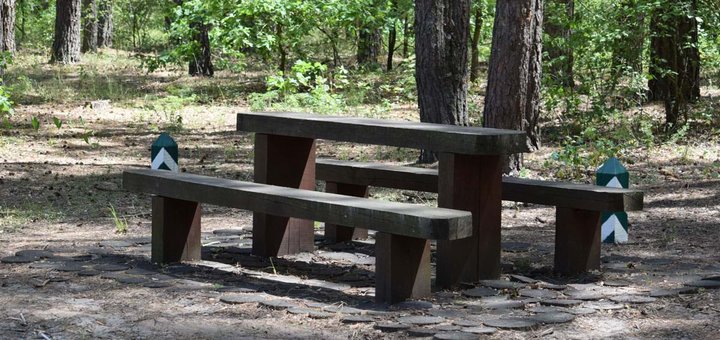 Пікніки у лісі на базі відпочинку «Перлина Дзвінкова» під Києвом. Плануйте відпочинок у передмісті зі знижкою.