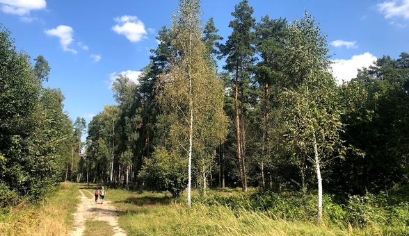 Beremitskoe Nature Park. Visit with the discount 37