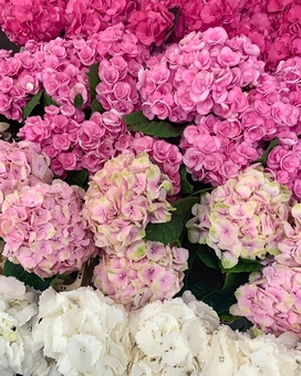 Professional flower delivery in Kiev