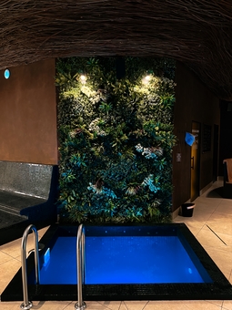 Visit Starbath City SPA with a 16% discount