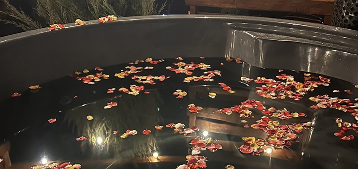 База відпочинку Dachi Time Dream. Відвідуйте по акції 15