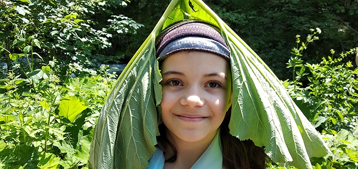 Forest Life Children's Camp. Visit with special offer 22