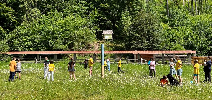 Дитячий табір ScoutLand camp. Відвідуйте по акції 8