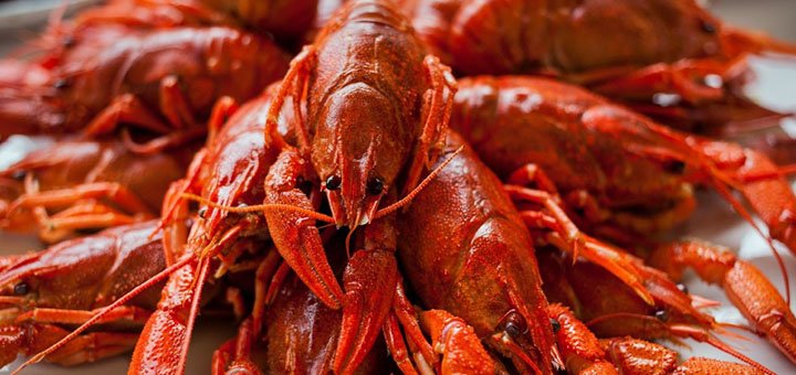 Доставка вареных раков «Crayfish» по Киеву и Киевской области. Покупайте раков со скидкой.