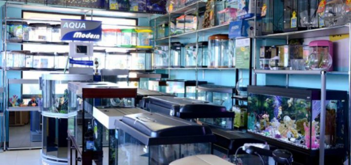 Special prices in the aquarium center "pivdenny"