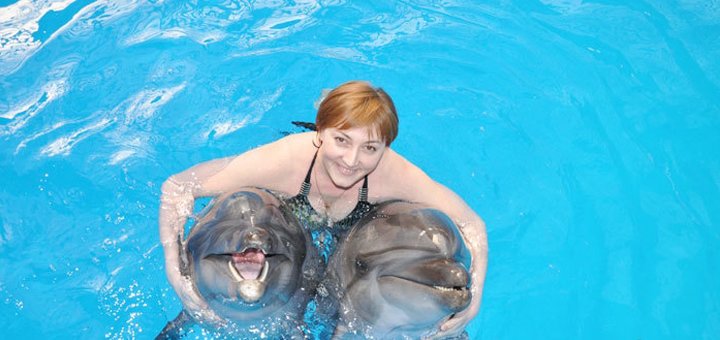 Discounts for swimming with dolphins at the nemo dolphinarium