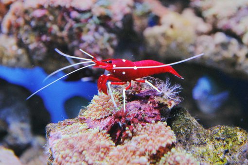 Відвідуйте на океанаріум «морська казка» зі знижкою