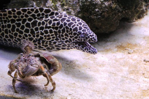 Відвідуйте на океанаріум «морська казка» зі знижкою