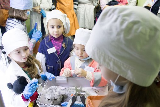 Майстер-клас для дітей з ветеринарії у клініці «Прохвіст» у Дніпрі. Бронюйте час по акції.
