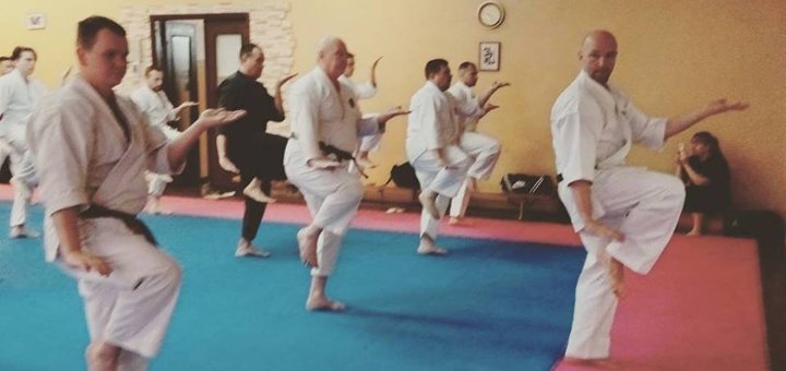 Тренировки в клубе традиционного окинавского годзю-рю карате-до «Сэнтора». Записаться недорого