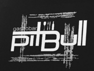 PitBull
