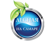 Лесная на Самаре