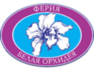 Белая Орхидея
