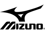 Mizunousa