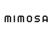 Mimosa Brooklyn Pizza